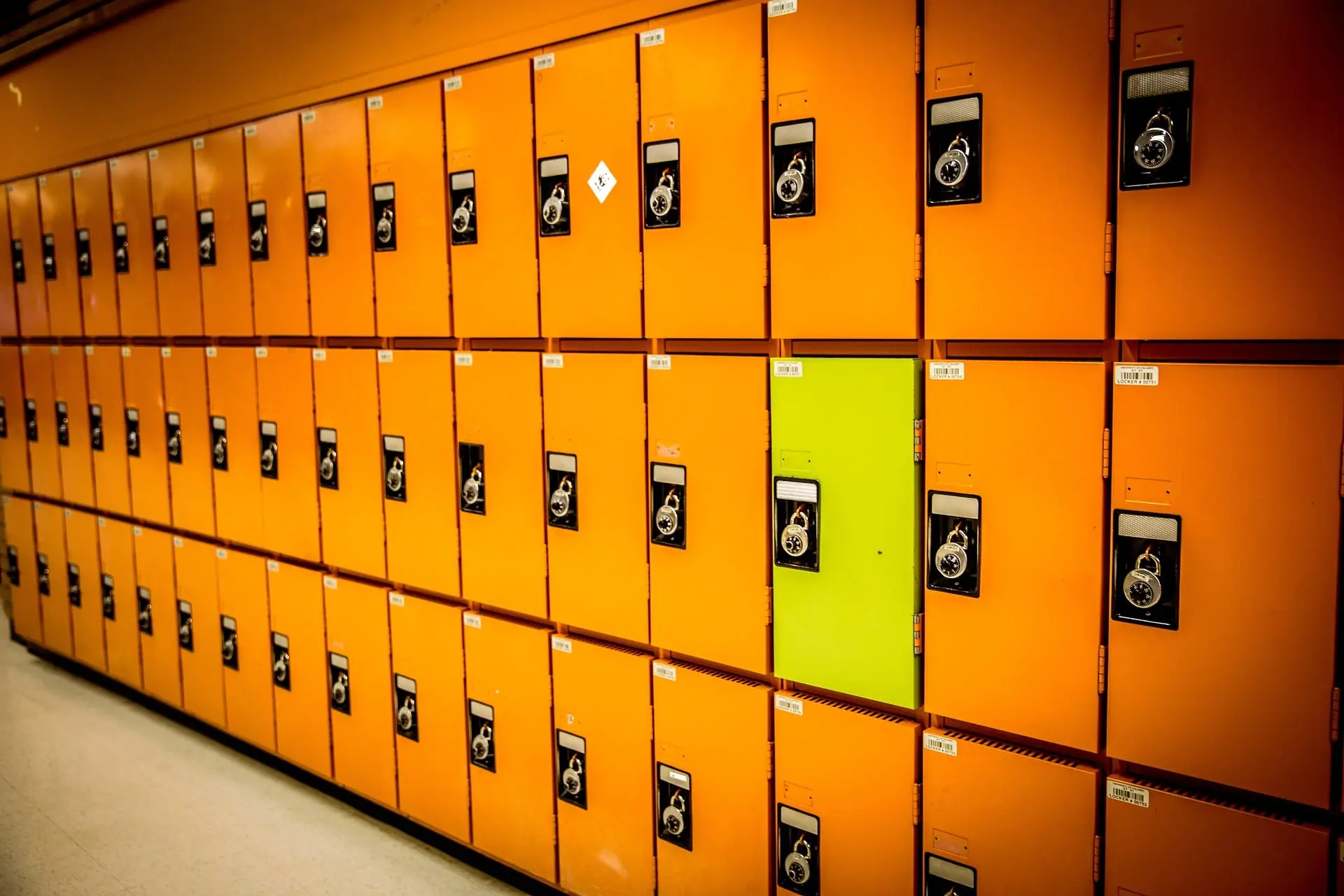 Imagen de referencia para los productos de archicol (10-Lockers.webp)